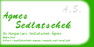 agnes sedlatschek business card